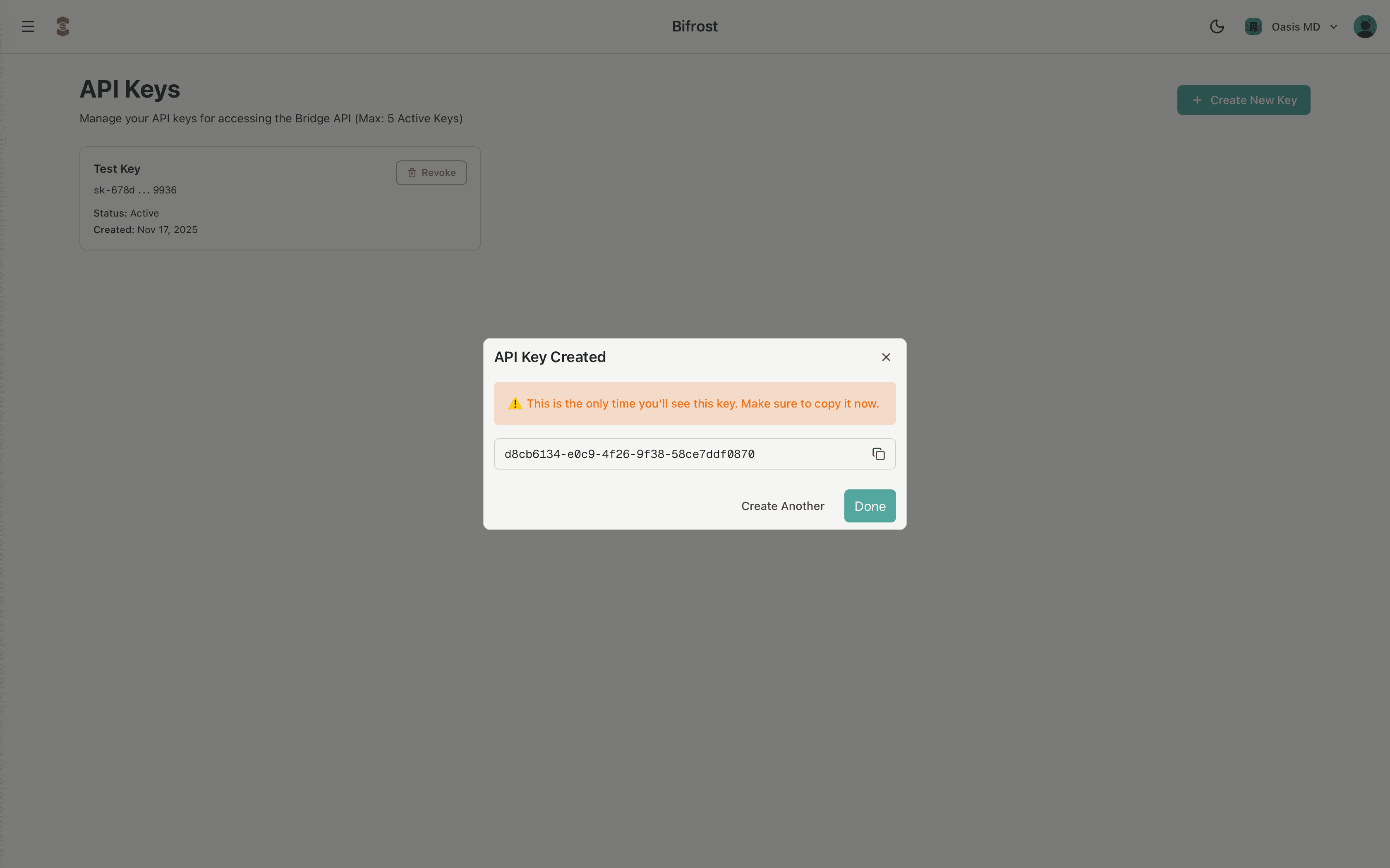 Bifrost API key creation dialog showing the newly generated key